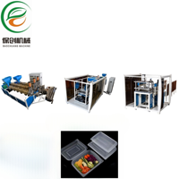 Automatische vormgevingsmachine voor wegwerp plastic PP transparante, doorzichtige, scharnierende clamshell voedselverpakkingsdozen en lunchboxen