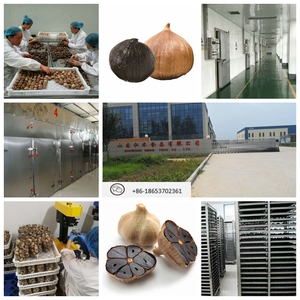 <span class=keywords><strong>Ail</strong></span> <span class=keywords><strong>noir</strong></span> du Shandong authentique, <span class=keywords><strong>vieilli</strong></span> naturellement, à haute teneur en SAC, <span class=keywords><strong>ail</strong></span> fermenté biologique - Product Image 5