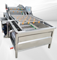 Multifunctionele spuitmachine voor het wassen en reinigen van pinda's, appels, mango's, prei, knoflook, dadels, meloenen, fruit en groenten.