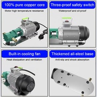 Pompe à huile électrique portable en acier inoxydable WCB 110V 220V de qualité alimentaire pour le transfert d'huile végétale lubrifiante