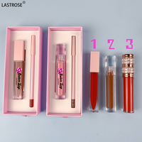 Prix d'usine Kit de brillant à lèvres et de crayon à lèvres végétaliens Brillant à lèvres de marque privée Kit de rouge à lèvres liquide mat