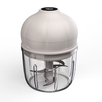 Draagbare Mini Elektrische Voedselhakker 350ml Uniek Design Glazen Kom Multifunctionele Processor Geschikt voor Knoflook Groenten