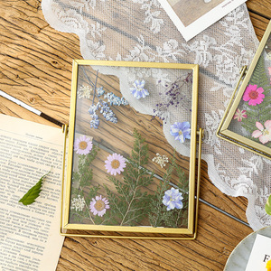 Picture <strong>Frame</strong> Gold Metal Floating Pressed Glass with Metal 4x6 <strong>5x7</strong> 6x8 High Quality Iron <strong>Photo</strong> <strong>Frame</strong> - Product Image 3
