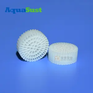 Factory Easy Retrofit And Upgrade Moving Bed Biofilm Reactor For Pesticide Industries