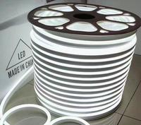 Taille personnalisée 220V Silicone LED Néon Bande Lumières IP67 PVC Lampe Corps Découpable Guirlandes Lumineuses Paysages Extérieurs Décorations Plug