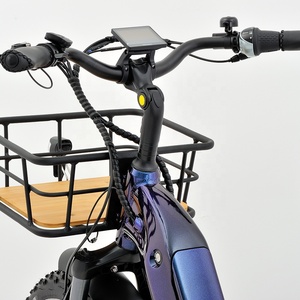 Tricycle électrique de 48V 500W pour le vélo adulte de cargaison <span class=keywords><strong>3</strong></span> roues avec le moteur d'entraînement moyen - Product Image 6