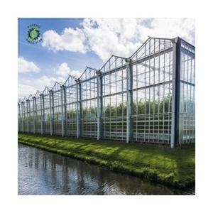 <span class=keywords><strong>Prix</strong></span> fascinant nouveau Type de serre en <span class=keywords><strong>verre</strong></span> en acier galvanisé à chaud serre en <span class=keywords><strong>verre</strong></span> industriel <span class=keywords><strong>horticole</strong></span> - Product Image 4