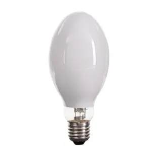 Professionele Kwikdamp Lamp Fabriek Gecoat Elliptische Kwiklamp Hql 80W 125W 250W 400W E27 E40 Daglicht