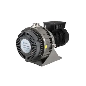 750w Motor 1/3 Phase GWSP600 Vacuum Diffusion Oven Dry Scroll Vacuum Pump