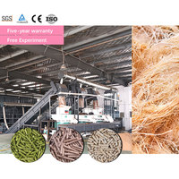 Ligne de production de granulés de biomasse WINWORK – Machine de fabrication de granulés à partir de balles de riz, de tiges de coton, de paille et de copeaux de bois – Fournisseur d'usine