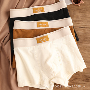 Sous-vêtements pour hommes en coton et <span class=keywords><strong>polyester</strong></span>, boxers, motif jacquard, taille mi-haute, respirant, antibactérien, taille adulte grande - Product Image 6