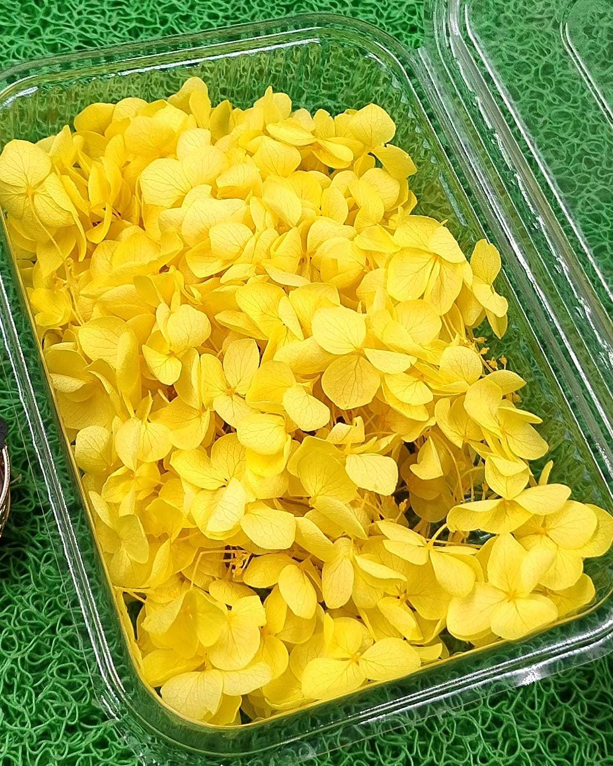 Jaune