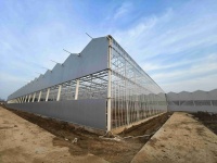 Serre en film plastique anti-UV et anti-goutte ZHUOTAI, taille d'arche personnalisée pour pépinière de fleurs, base de plantation, Chine