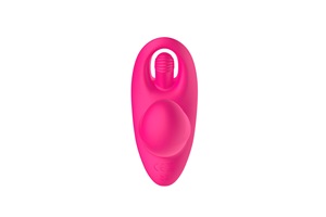 Yüksek kalite 10-Mode uzaktan kumanda Mini gül vibratör USB Powered giyilebilir külot Clit g-spot stimülatör yapay penis vibratör - Product Image 5