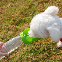 Bouteille d'eau portable pour chien avec bol intégré