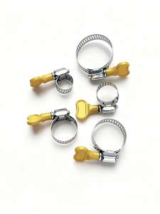 Colliers de serrage papillon en acier au carbone et plastique, ensemble de colliers de serrage <span class=keywords><strong>à</strong></span> vis sans fin <span class=keywords><strong>pour</strong></span> l'étanchéité automobile - Product Image 1