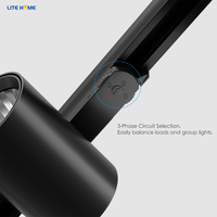 Éclairage intérieur 3 phases 170lm/w Projecteur sur rail LED PC/Verre 4000K Certifié CE RoHS Économie d'énergie Utilisation commerciale et de détail