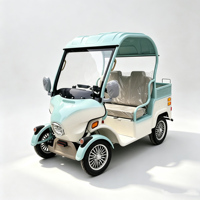 Carrito de Golf Eléctrico Holladay con Toldo, Scooter de Movilidad para Personas Mayores de 4 Ruedas, Carrito Eléctrico de Compras Doméstico Pequeño y Potente de 48V