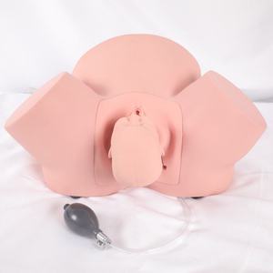 Modèle de simulation de formation scientifique médicale avancée en PVC, taille humaine, démontrant des scènes de travail intensif - Product Image 6