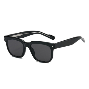 Gafas de Sol Cuadradas Polarizadas con Marco Grande y Remaches, Estilo Vintage 2026, para Hombre y Mujer, con Logotipo Personalizado, Protección UV400, Marco TR90 - Product Image 6
