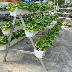 <span class=keywords><strong>Culture</strong></span> Plateau de <span class=keywords><strong>culture</strong></span> Abreuvoir pour gouttière de plantation de fraises - Product Image 2