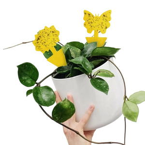 Pièges à insectes collants jaunes jetables écologiques, directement de l'usine, pour mouches des fruits, utilisation intérieure/extérieure - Product Image 1