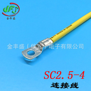 JFS SC2.5-4 Terminal <b>Wire</b> Pure <b>Copper</b> 1-Core 850mm Lug Terminals For Electrical Wiring - Product Image 3