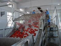 Automatische Fruit Apple Jam Verwerking Lijn Cherry Berry Jam Productielijn Marmelade Produceren Plant Machine Om Jam