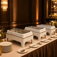 Chauffe-Plat Buffet TAIDING Luxe Blanc 9L en Acier Inoxydable à Vapeur pour Hôtels