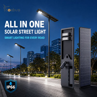 Lampadaire Solaire Tout-en-un LED IP66 DC Anti-Corrosion à Télécommande pour Parcs et Allées - Vente Flash
