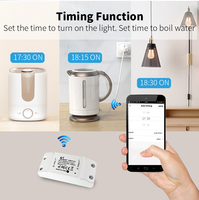 Smart Lift App Tuya 10A Wifi Disyuntor inteligente con control de temporizador Módulo de interruptor Wifi compatible