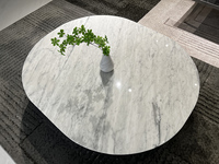 Ensemble de table basse en marbre blanc gris moyen avec des dalles de marbre rondes de luxe pour une utilisation moderne dans un salon.