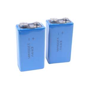 Литиевая аккумуляторная батарея LiSOCl2 <span class=keywords><strong>ER34615</strong></span> 3,6 В 19000 мАч <span class=keywords><strong>Er34615</strong></span> D er9V er14505 er14250 ER14335 ER17505 er18505 - Product Image 5