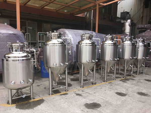 250L unitank fermenter nhỏ lên men nhà máy bia lên men hệ thống - Product Image 2