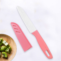 Ensemble de couteaux de cuisine multifonctionnels en acier inoxydable couleur bonbon avec manche en plastique, couteau à éplucher les fruits pour un usage domestique