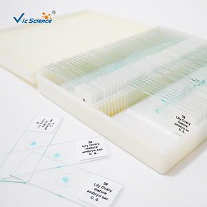 50/100 Piezas de Portaobjetos de <span class=keywords><strong>Microscopio</strong></span> de Alta Calidad Preparados por <span class=keywords><strong>Mitosis</strong></span> y Meiosis para Investigación Educativa - Product Image 5