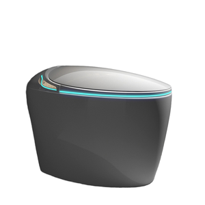 Hee iyi HD812 akıllı tuvalet sifon kızarma otomatik sterilizasyon ısıtmalı koltuk uzaktan kumanda dahil fabrika toptan - Product Image 1