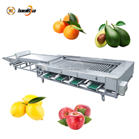 Industriële automatische sorteermachine voor avocado's, sinaasappels, citroenen en appels; fruit- en groentesorteerapparatuur.