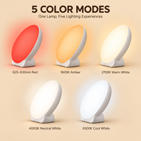 Lampu Malam LED Hadiah yang Bagus dengan 5 Mode Warna, Peredupan 5 Tingkat, Timer, Lampu Aksen Dekoratif untuk Kamar Tidur Ruang Tamu