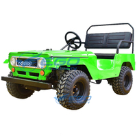Usine directe 200cc 250cc Mini Willys Jeep 2 places automatique avec moteur 1000w 4 temps essence arbre de carburant entraînement Mini Jeep