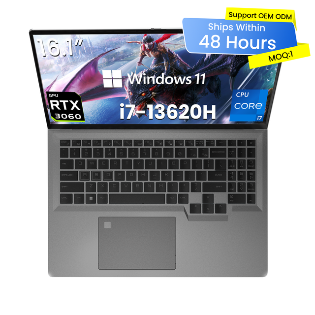 13th Gen Core I7-13620H 10-Core RTX 3060 16GB DDR4 RAM 512 SSD Dedicated Graphics Win11 English Keyboard RGB 144Hz Gaming Laptop