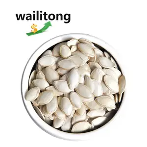 Wailitong Chinese Hulled Shine Skin Pumpkin Seeds Kernels Snow White organic Squash Seeds Wholesale
