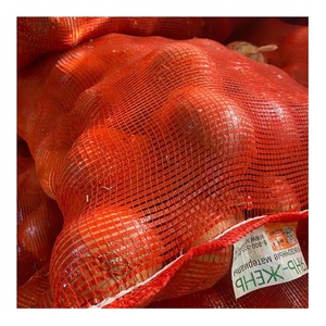 Tùy chỉnh 25kg & 50kg PP Leno lưới túi lưới cho bao bì Rau Trái Cây hành tây khoai tây củi cho nông nghiệp sử dụng - Product Image 2