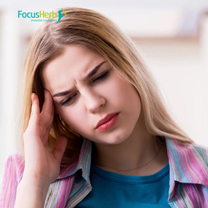 FocusHerb Entrepôt US, Produits en Stock, Poudre de Champignon, Extrait de Chaga Biologique, 30% de Polysaccharides - Product Image 4