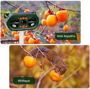 Sajzek Produit le plus vendu Répulsif à ultrasons solaire pour animaux en plein air Renard Souris Oiseau Pigeon Corbeau Chien Animal sauvage <span class=keywords><strong>Chat</strong></span> Répulsif - Product Image 4