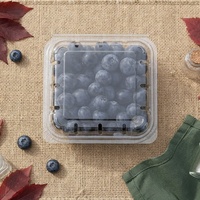 Contenitore in Plastica PET da 125g per Frutta, Design a Conchiglia, Scatola Trasparente Monouso per Confezionamento Mirtilli