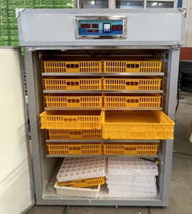 Équipement automatique économiseur d'énergie d'incubation d'oeufs avec la capacité d'oeufs 528-10000 comprenant les boîtes d'oeufs isolées - Product Image 5
