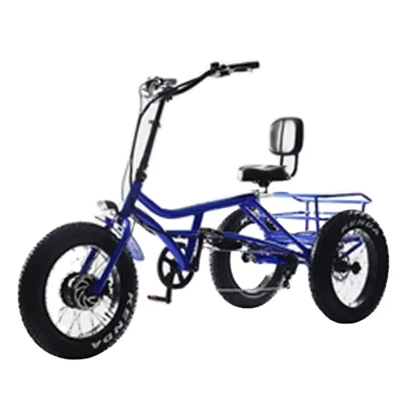 תלת אופן חשמלי 500w differiential מנוע 3 גלגל trike ce למבוגרים נוסעים ומטענים carrier תלת אופן למבוגרים