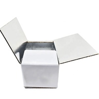 Carpeta de Cartón Corrugado con Doble Pared Aislante, Materiales Reciclados, Laminación Mate y Grabado en Relieve para Envío en Cadena de Frío