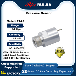カスタマイズされた高精度負荷セル圧力トランスミッタPT2Q小型レンジ2Mpaマイクロ油圧空気圧オイル圧力センサー - Product Image 2